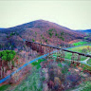 Meet your Posher, Arlene